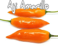 AJI AMARILLO FRESCO